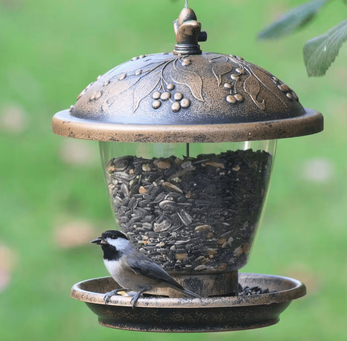 bird feeder