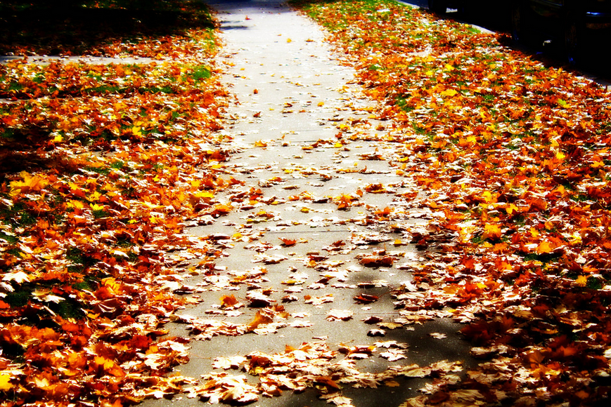 fall