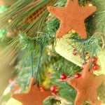 rsz_homemadecinnamonornaments2