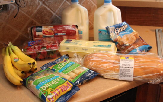 Grocery Budget