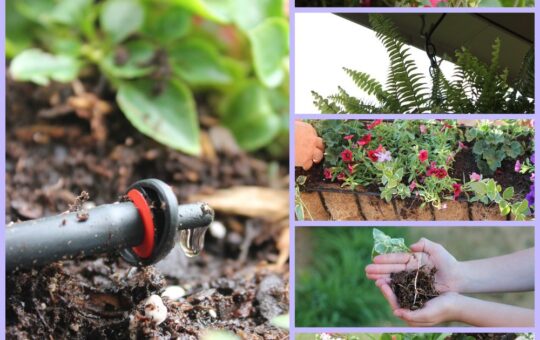 rsz_picmonkey_collage (9)