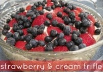 strawberries-and-cream-300x225 (1)