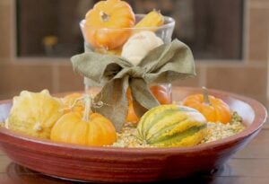 decorating for Fall using live pumpkin