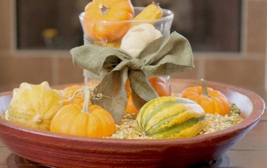 decorating for Fall using live pumpkin