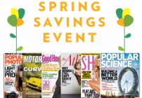 DM_300X250_Spring