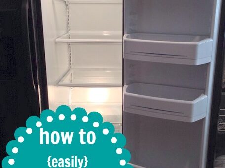 fridgeclean