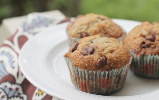 Banana Chocolate Chip Muffins