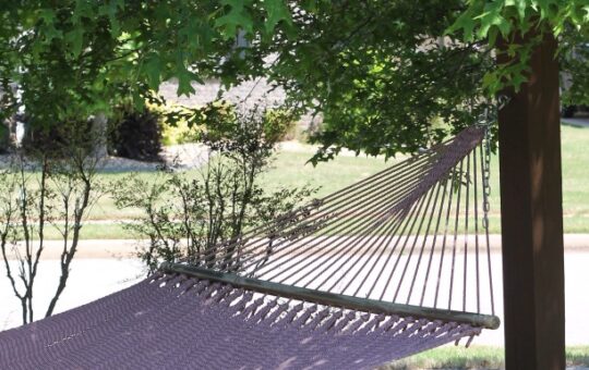 hammock