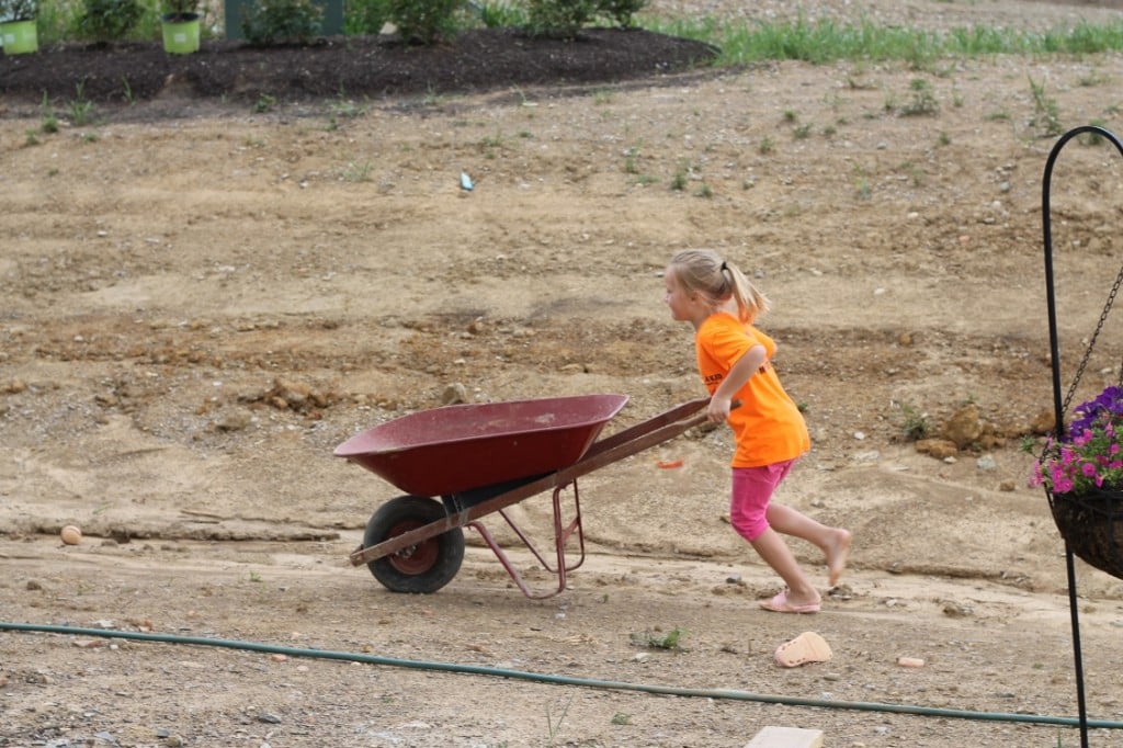Moving Rocks for Backyard Makeover