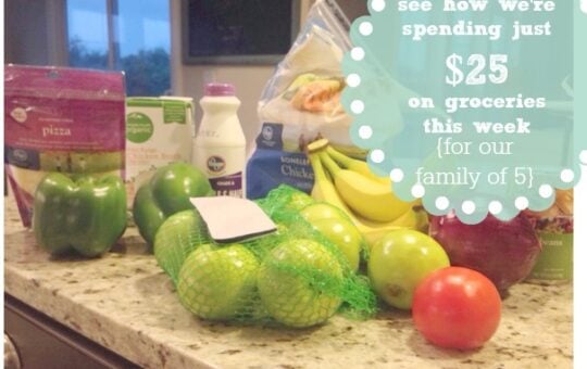 25groceries