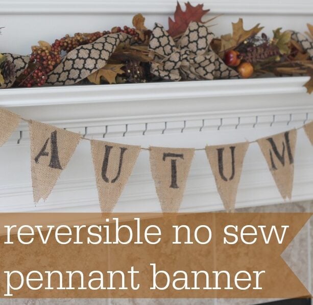 Reversible No Sew Pennant Banner