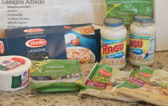 lasagnaaflredo2