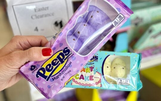 dollar tree clearance