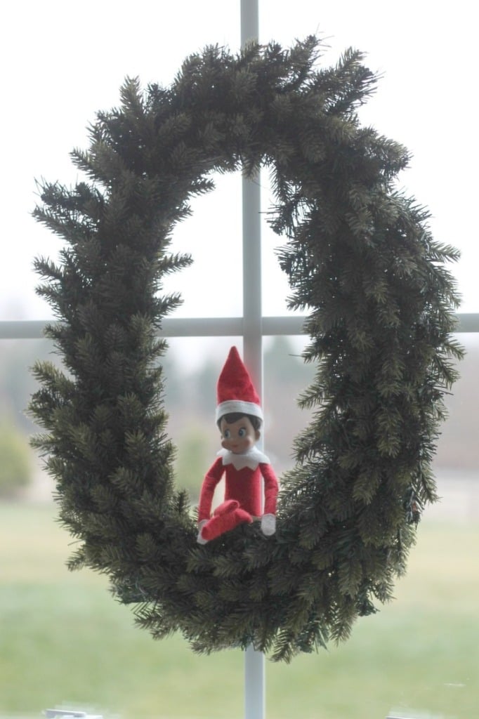 tree7