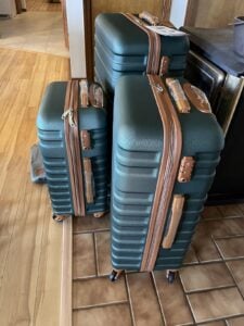 luggage review