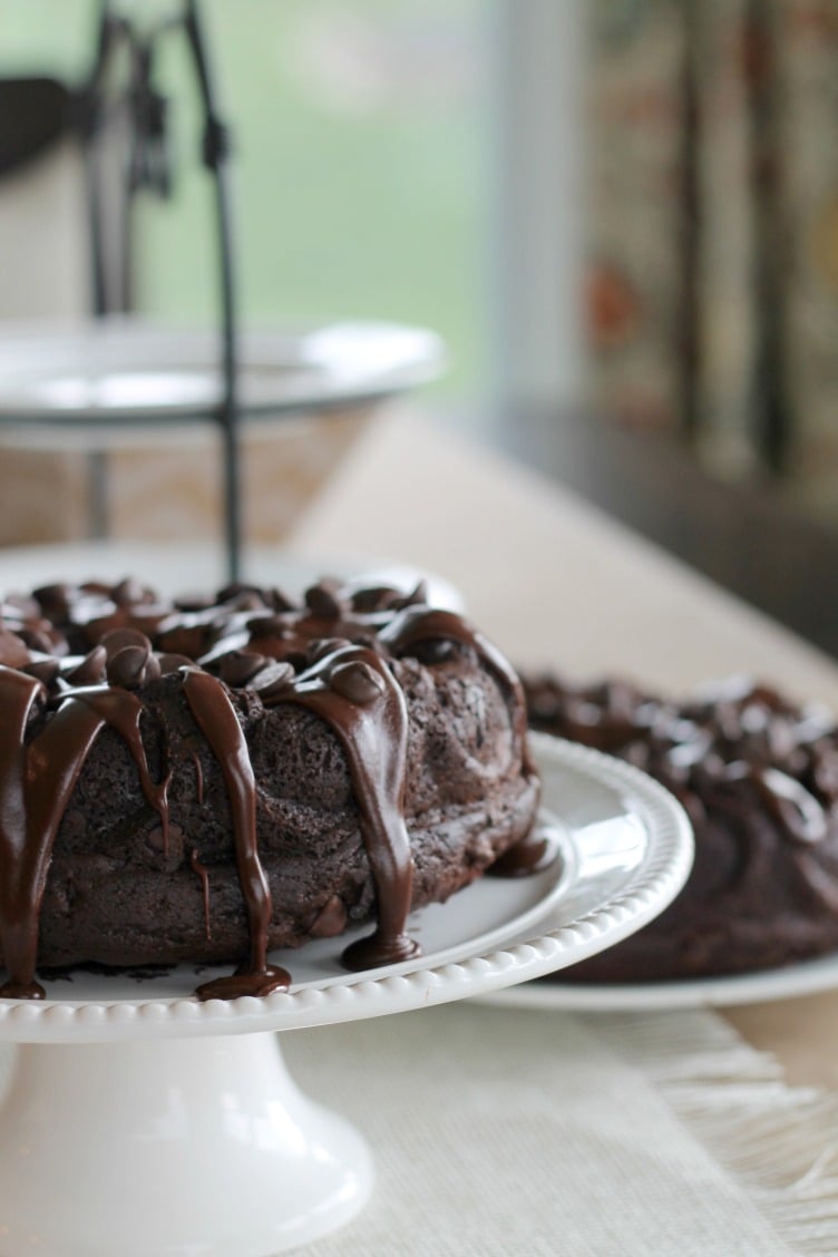 chocolatechocolatechipcake2