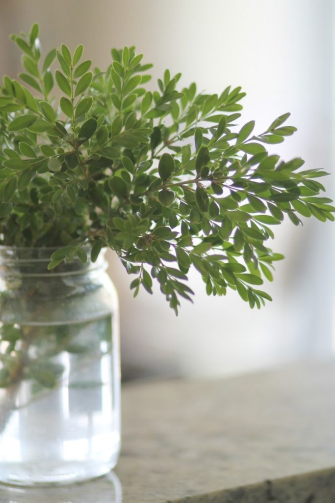 greenery