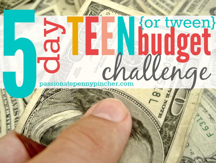 budgetchallengeteen3
