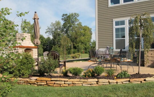 Backyard before and after