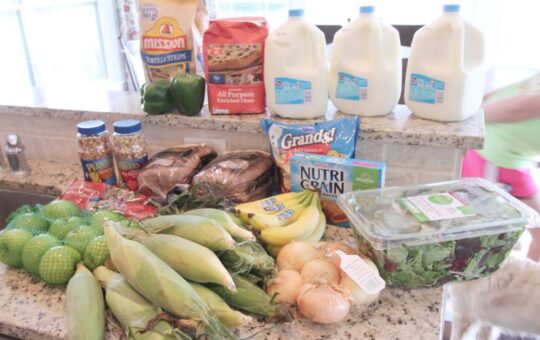 onceamonthgroceryshopping