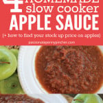 4ingredientapplesauce3