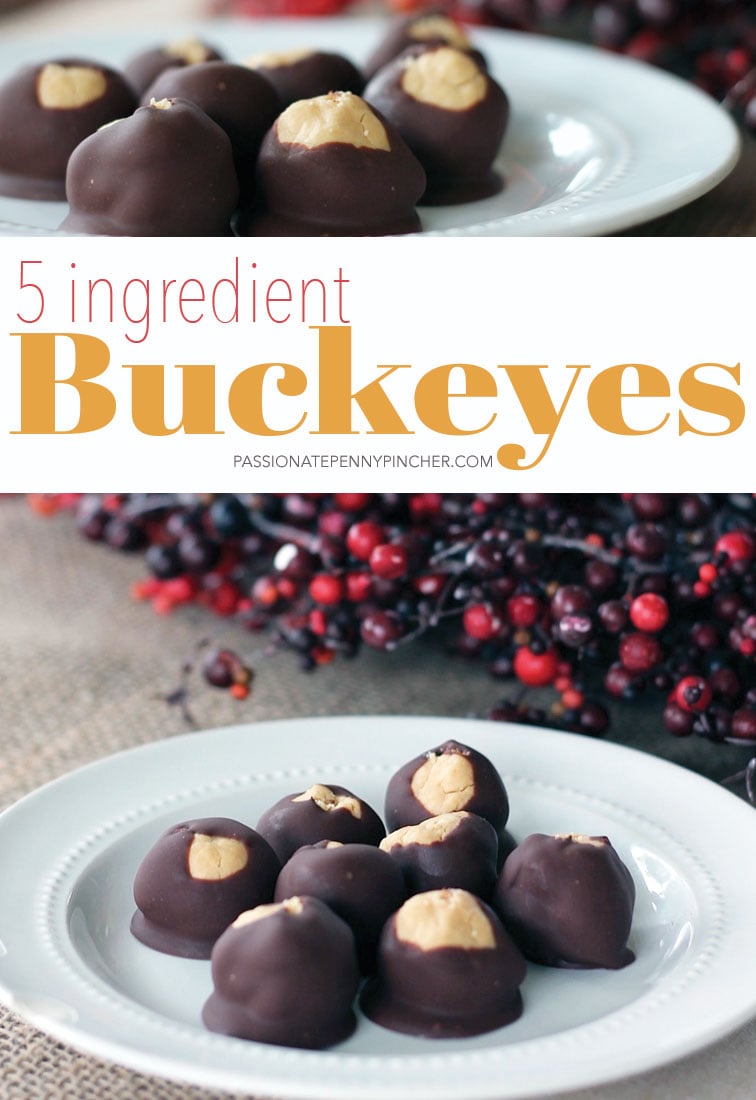 5 Ingredient Buckeyes Passionate Penny Pincher