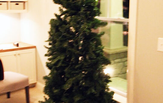 diytree1