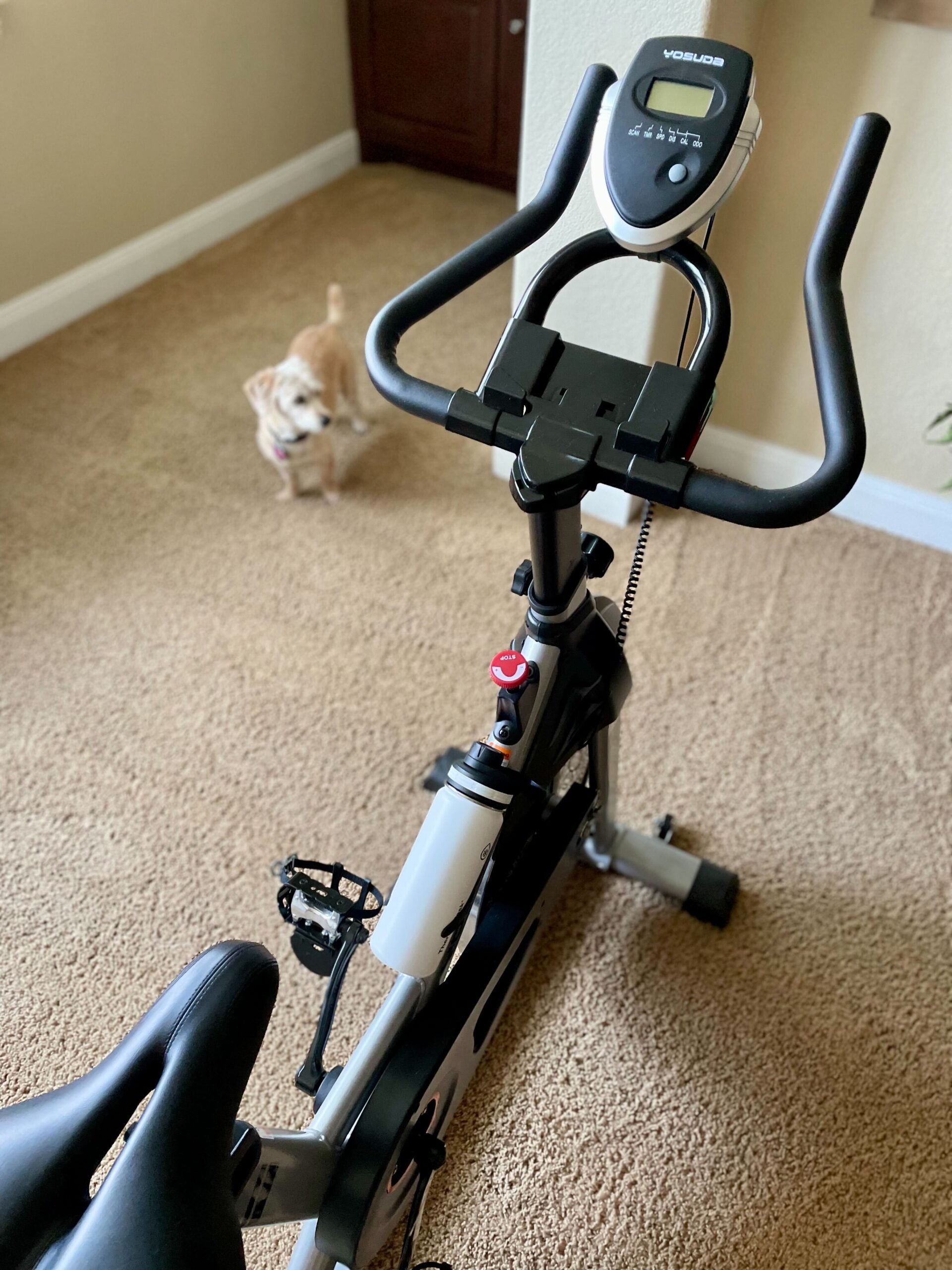 exercise bike