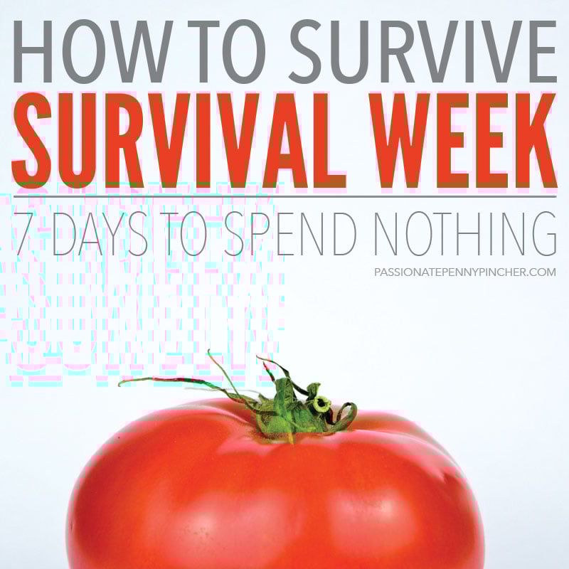 how to survive first week of how to survive first week of