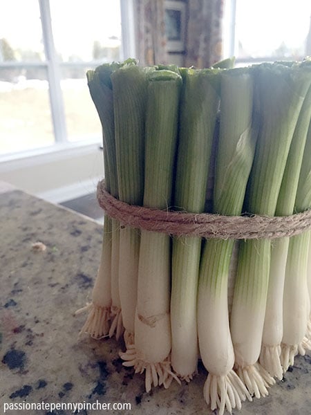 twine and green onions