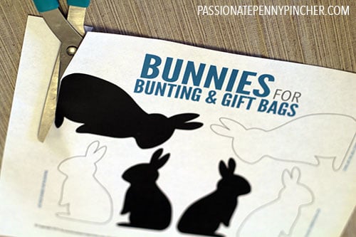 PPPbunny2