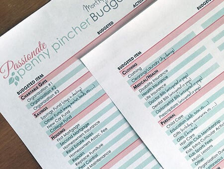 pppbudget3