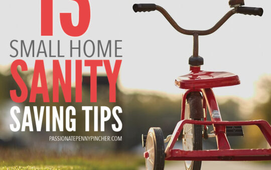 pppsmallhomesanity3