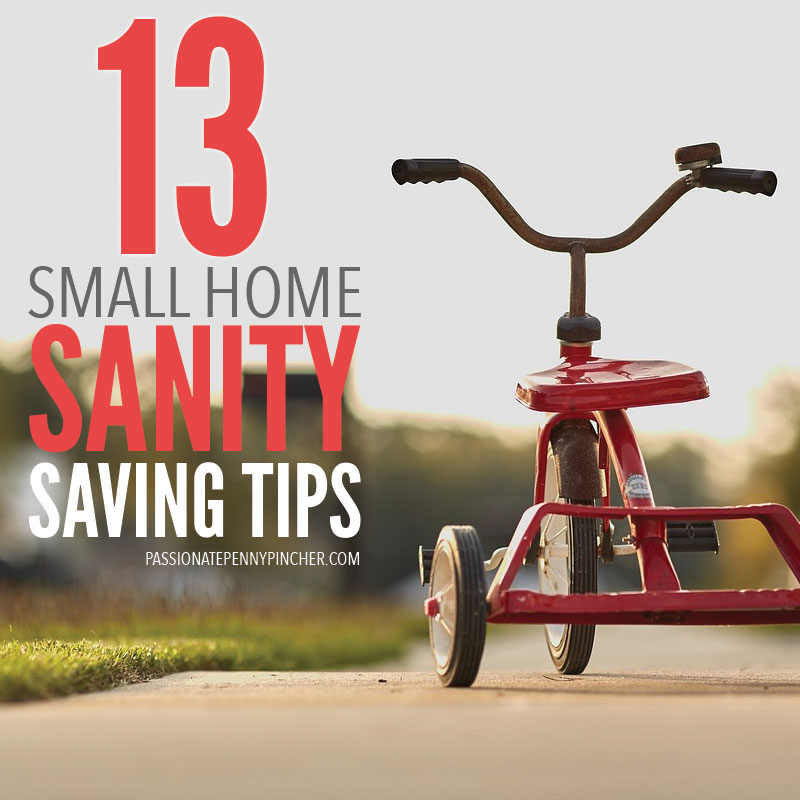 pppsmallhomesanity3