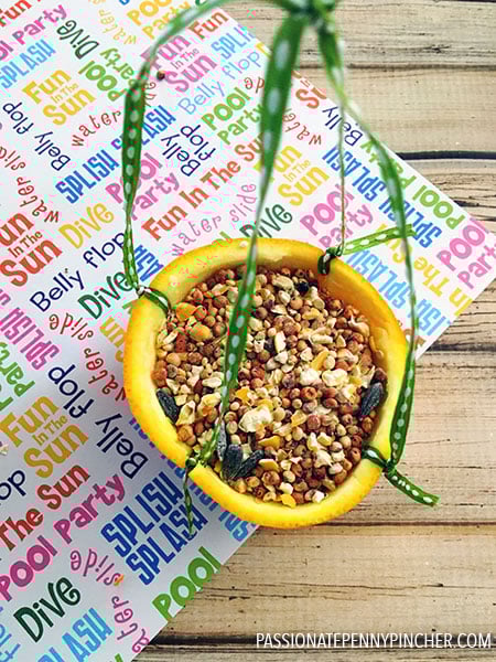 Bird Feeder with String and Bird Feed