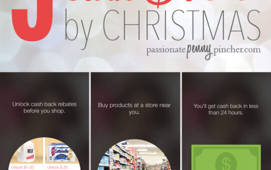 5waystosave100bychristmas