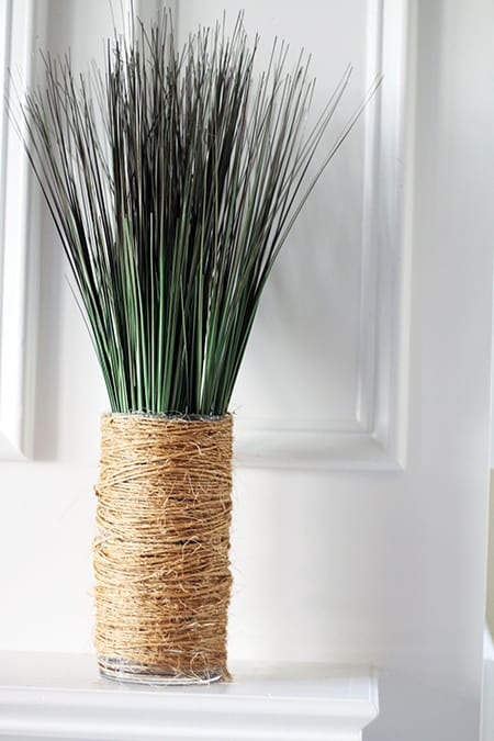 dollartreediy1