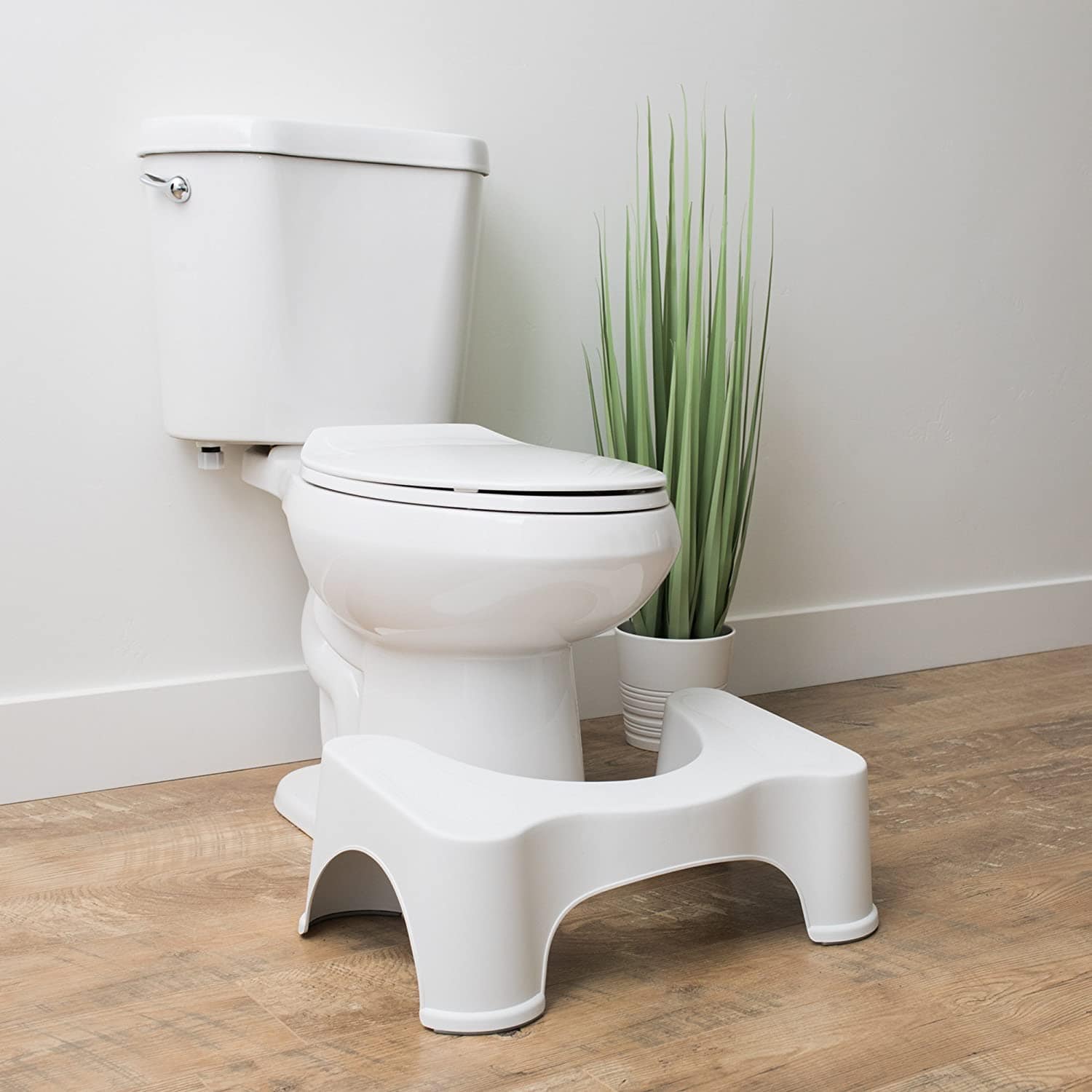 squatty potty