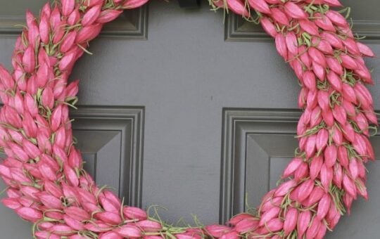 DIY Spring Wreath