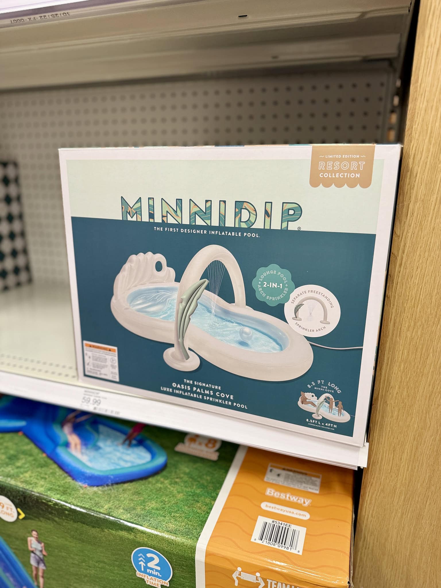 minnidip oasis palm mini pool target