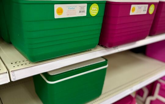 sun squad 10 qt cooler