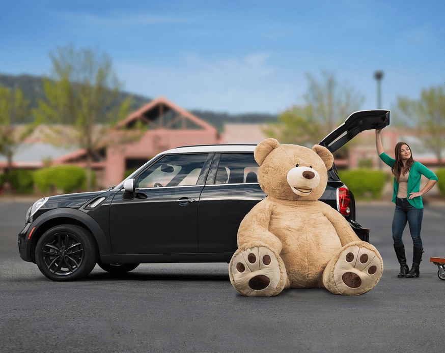 costco bear