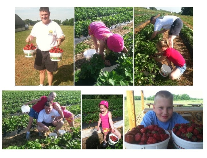 Picking Berries for Pie