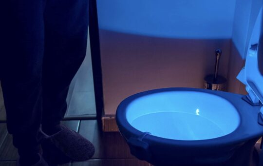 toilet night light