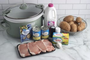Ranch Pork Chops Ingredients on Countertop
