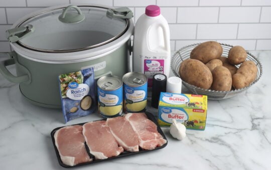 Ranch Pork Chops Ingredients on Countertop