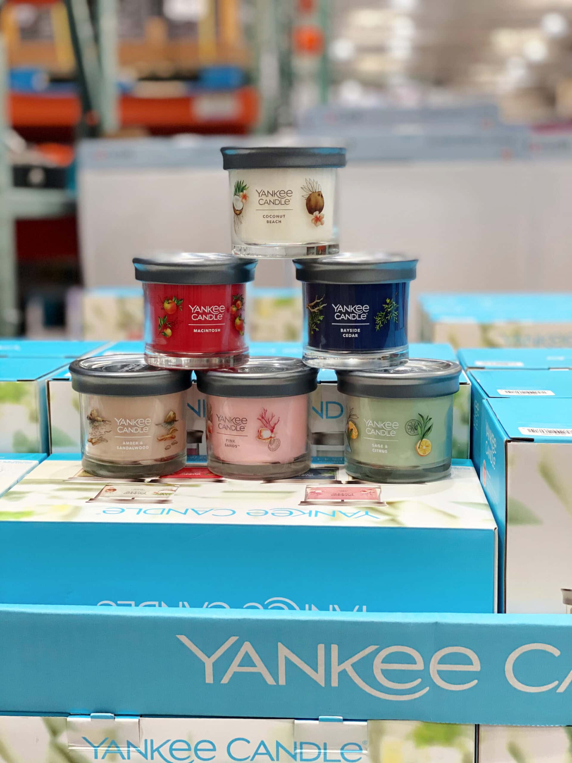 costco yankee