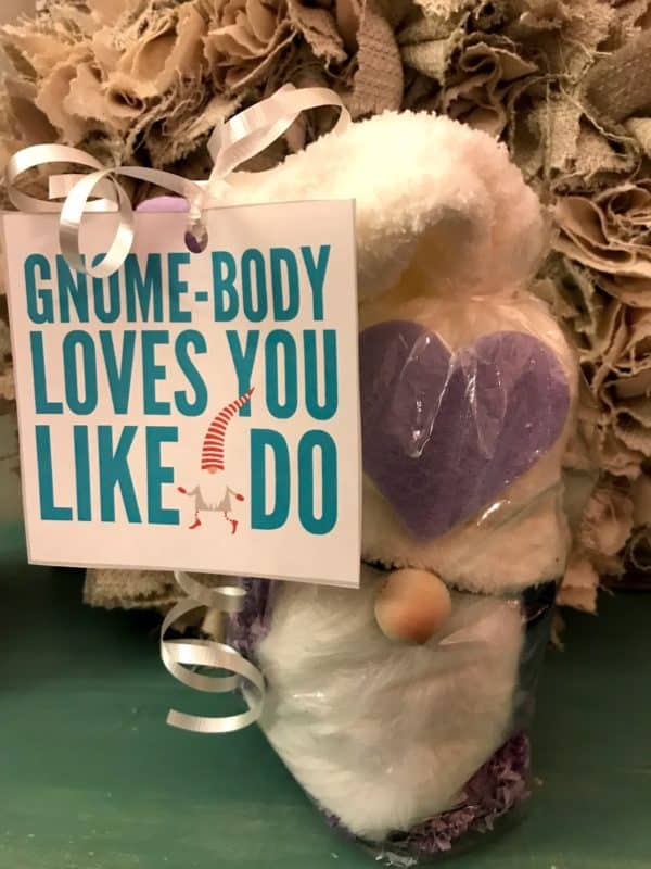 DIY Gnomes