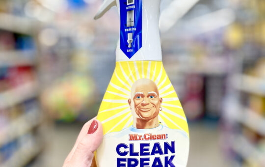 mr. clean freak