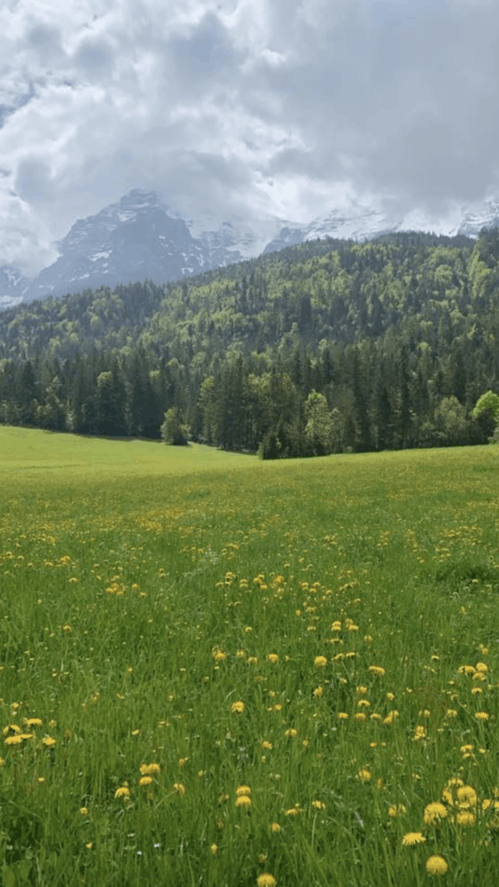 Tips for Traveling in Europe 